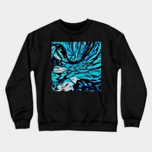 Stocksom Bird Bath Crewneck Sweatshirt